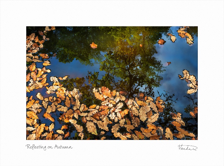 Reflecting on Autumn