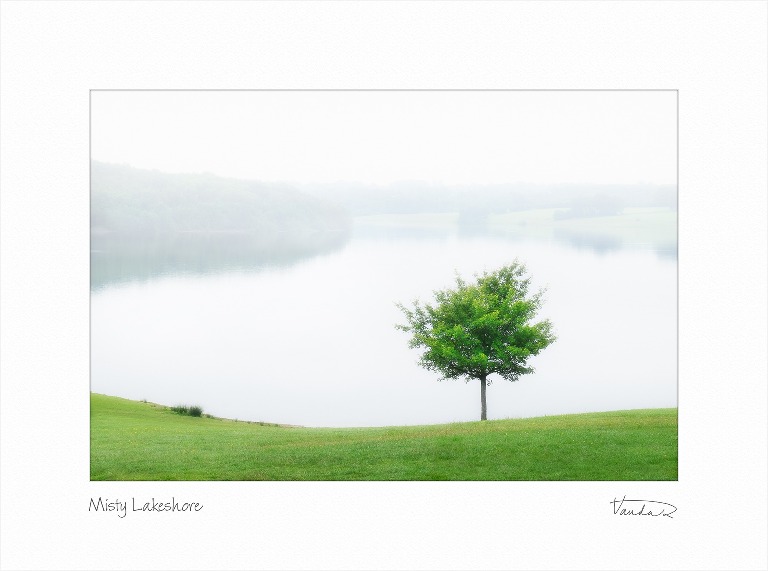Misty Lakeshore