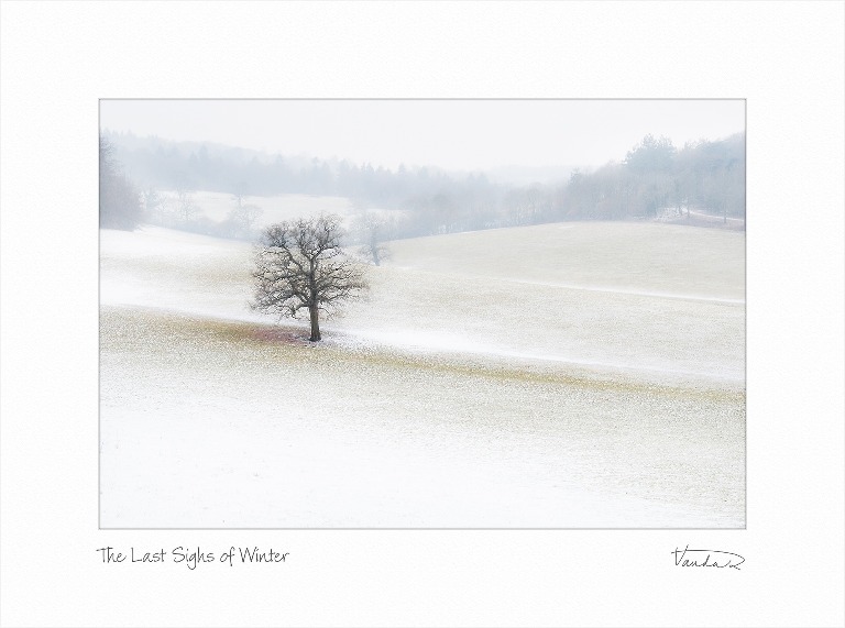 The Last Sighs of Winter