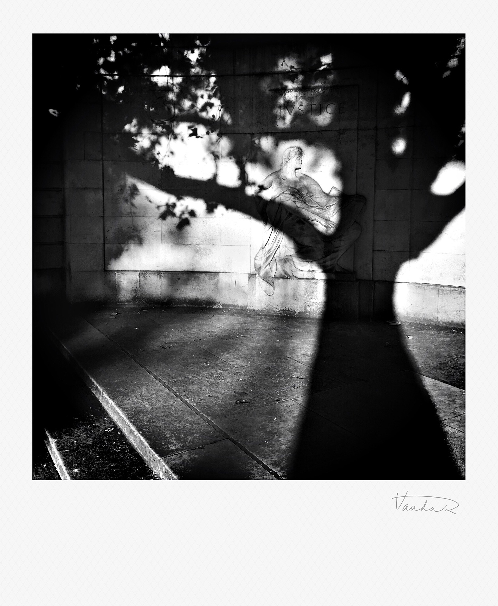 In the Shadows