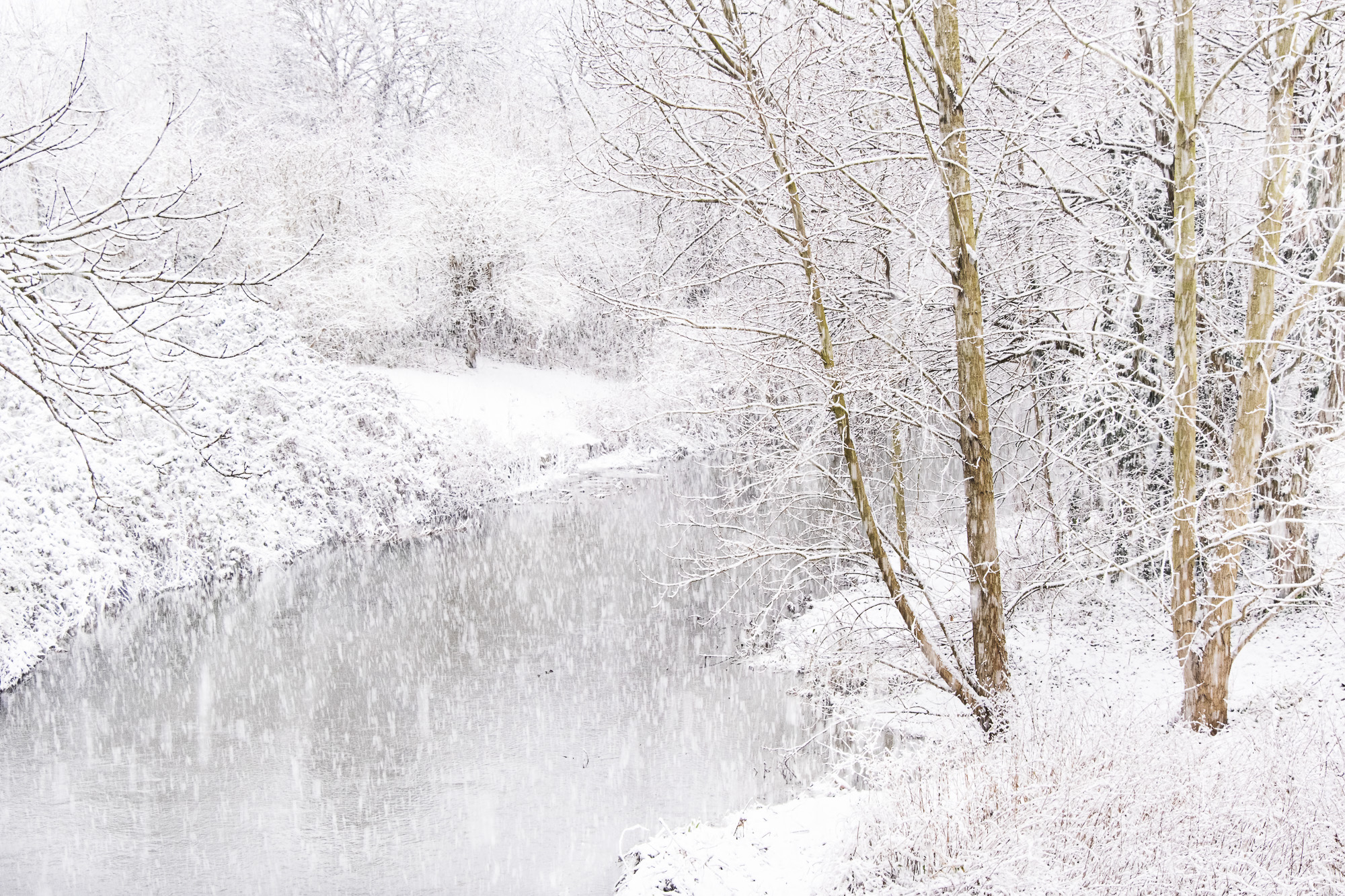 When the Snow Fell on River Crane