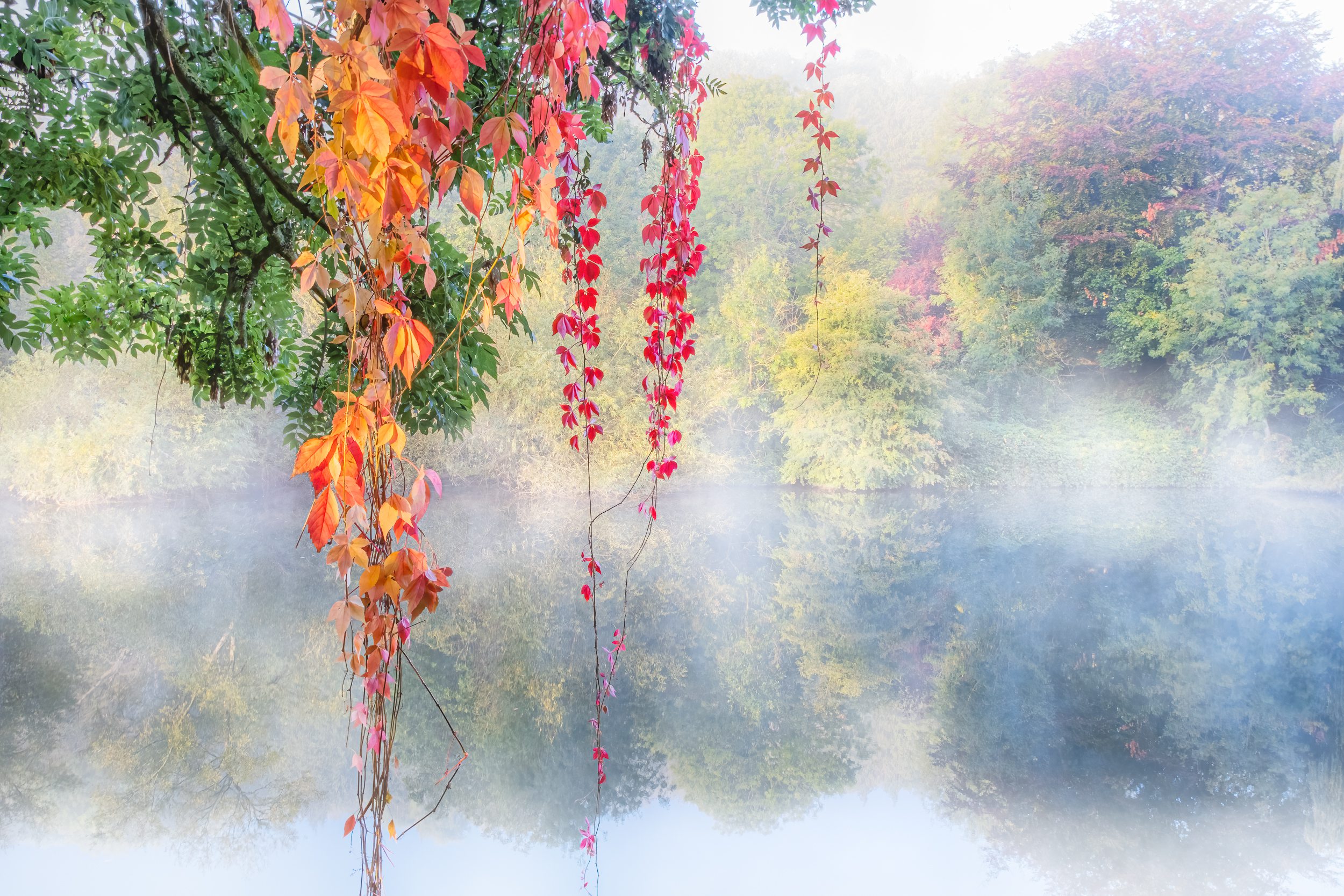 Autumnal Thames
