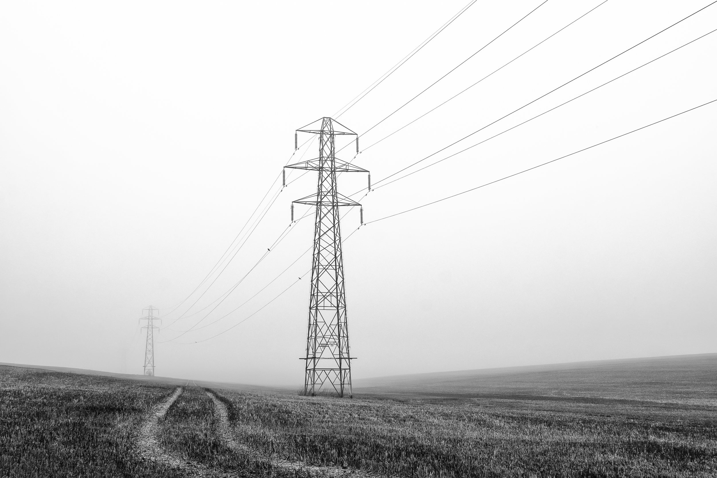 Lines In The Landscape