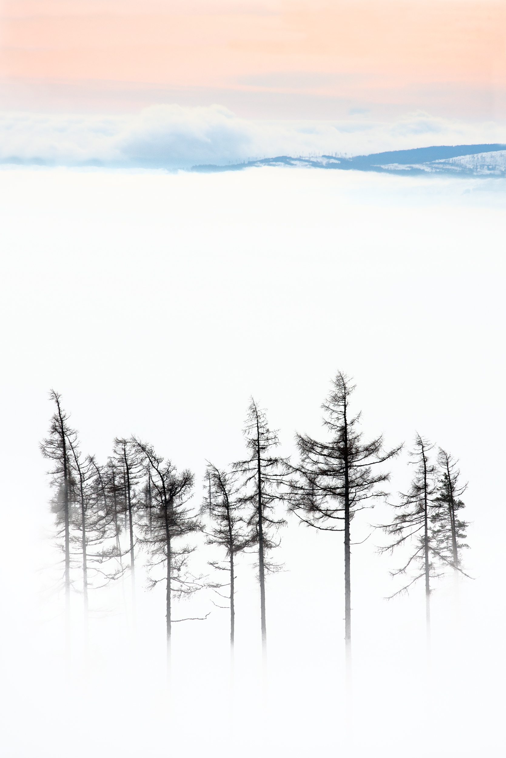 Lost In Clouds