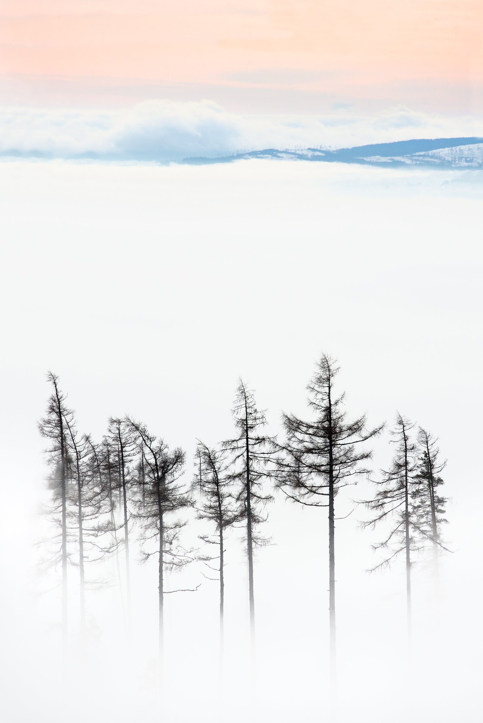 Quiet Winter