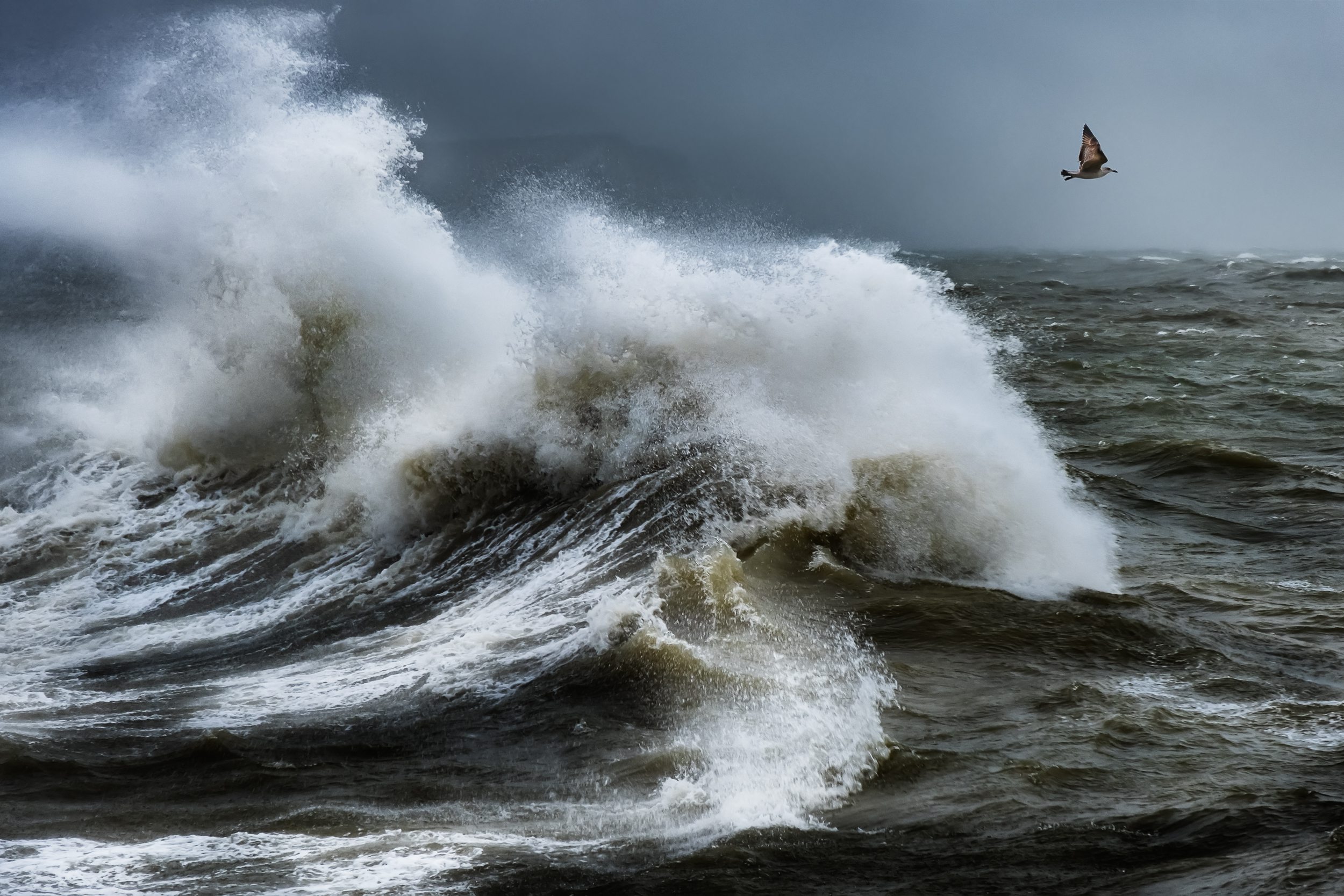 Sea Fever