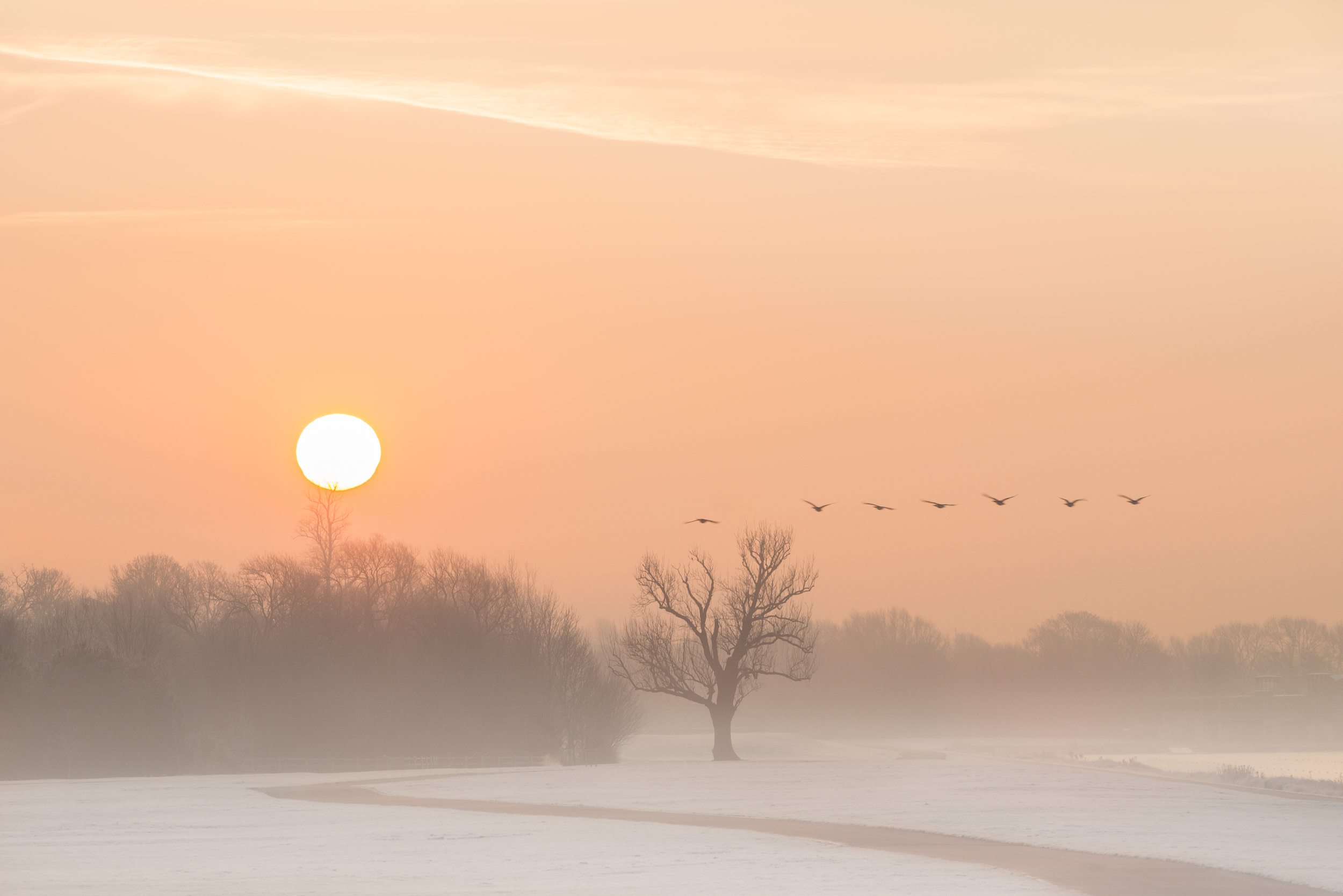 As Dawn Greets The Day