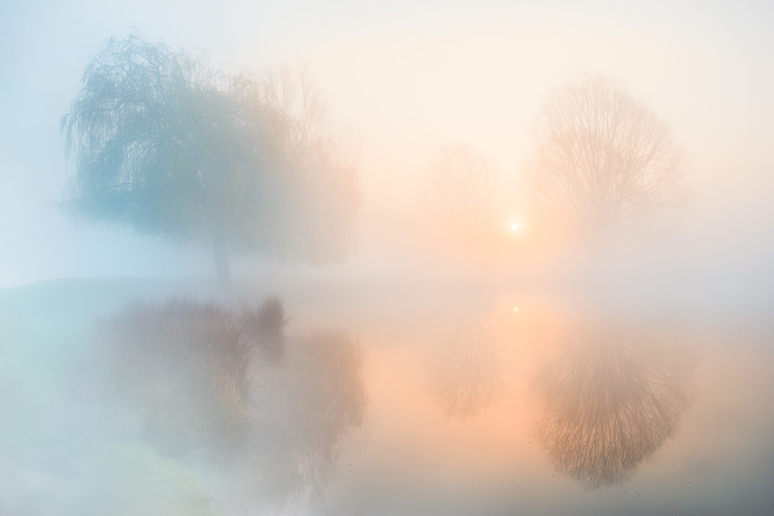 Morning Magic