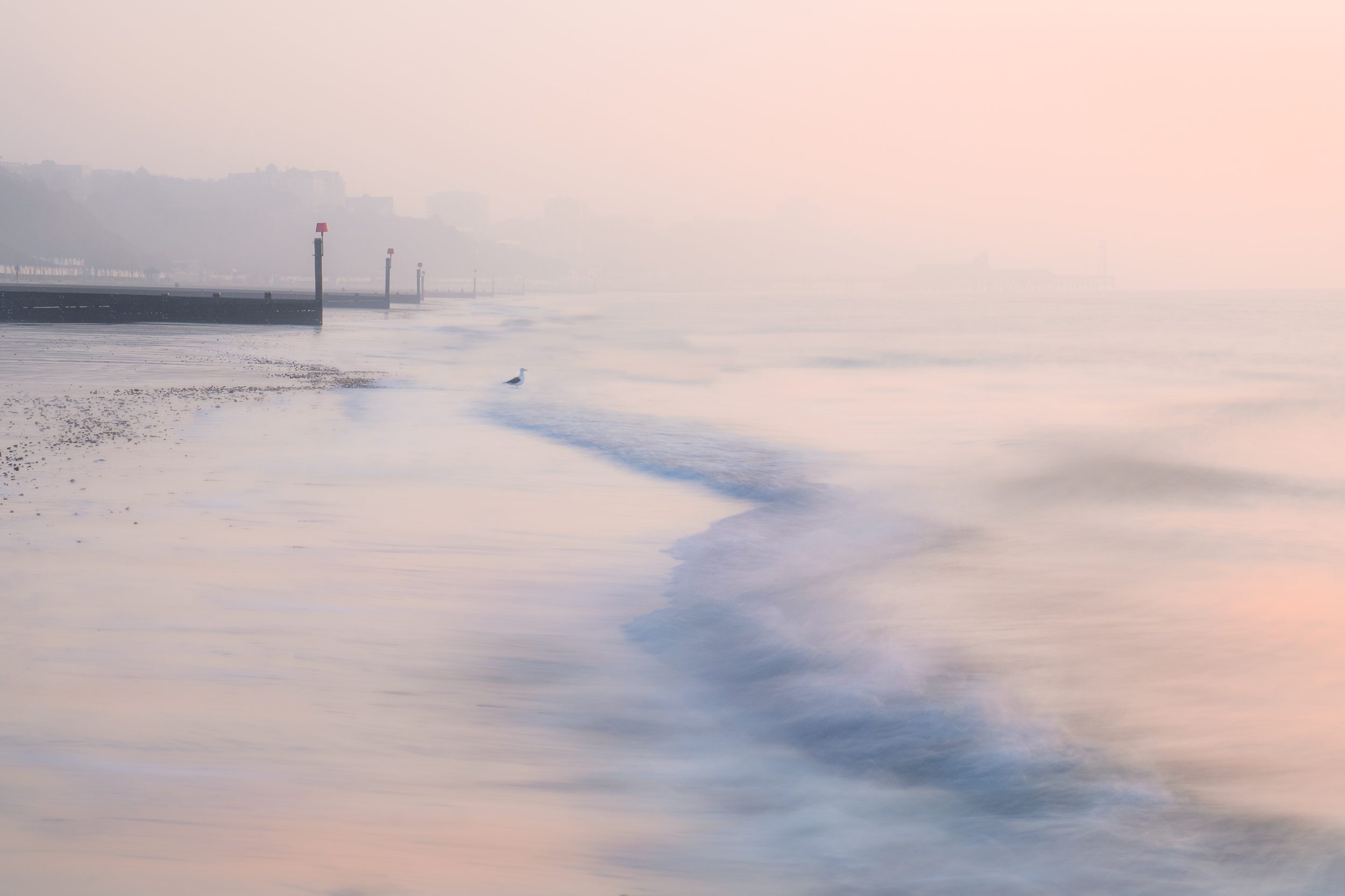 Softly As A New Day Begins