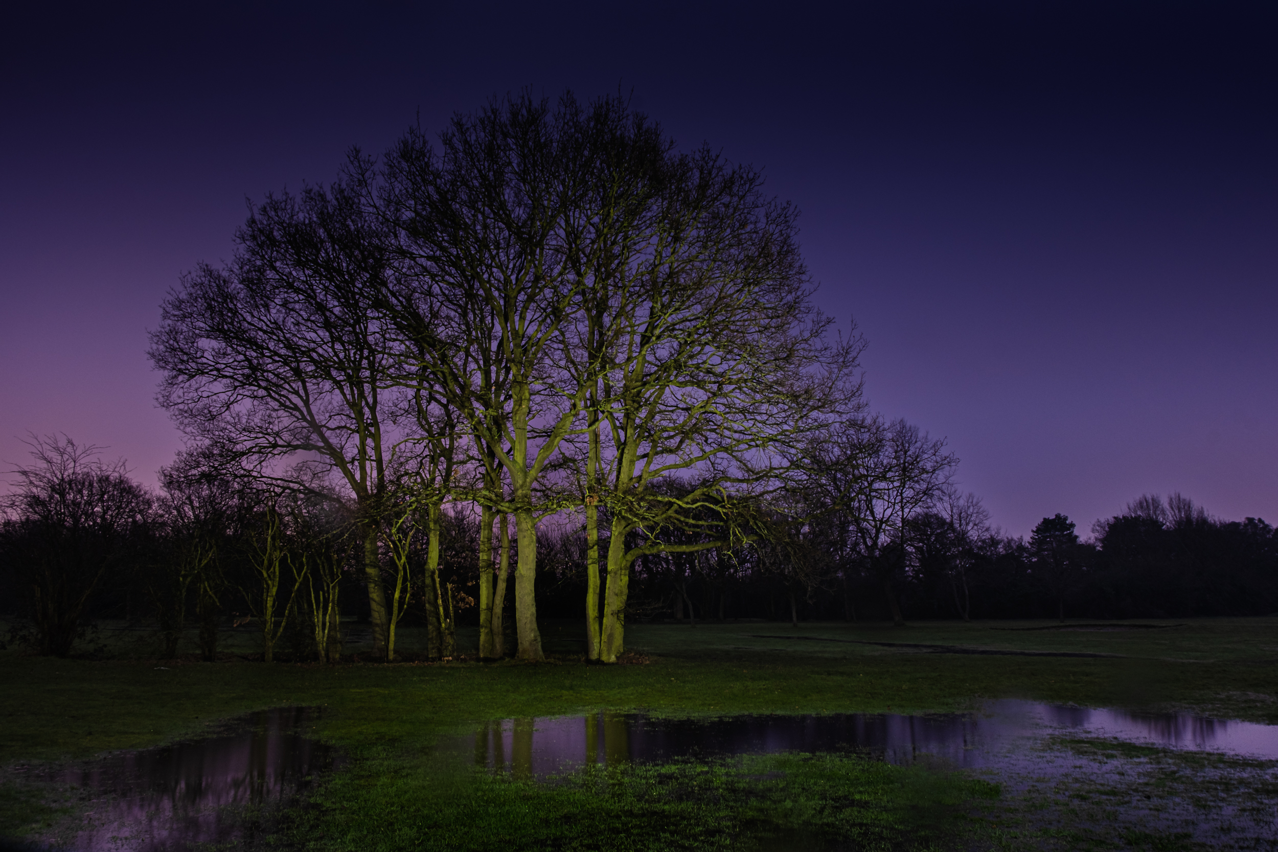 Along The Twilight Paths