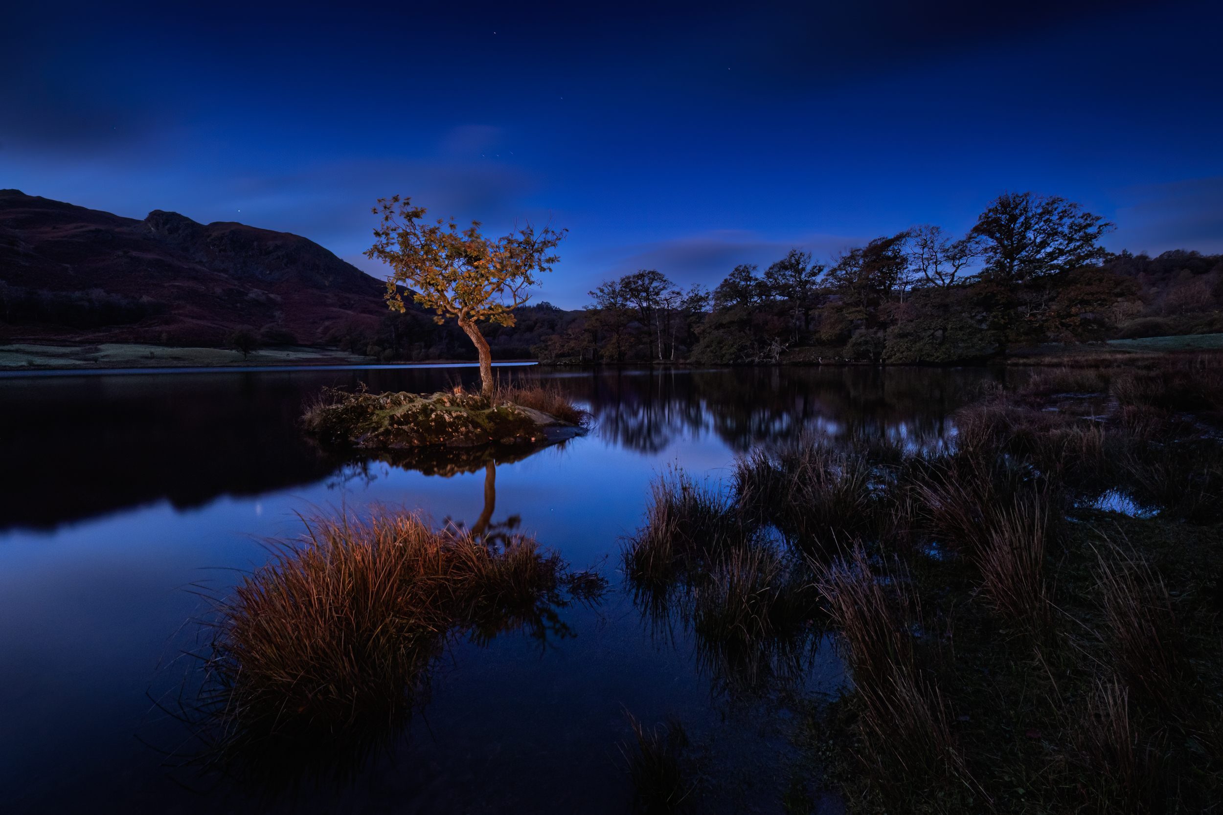 Along The Twilight Paths