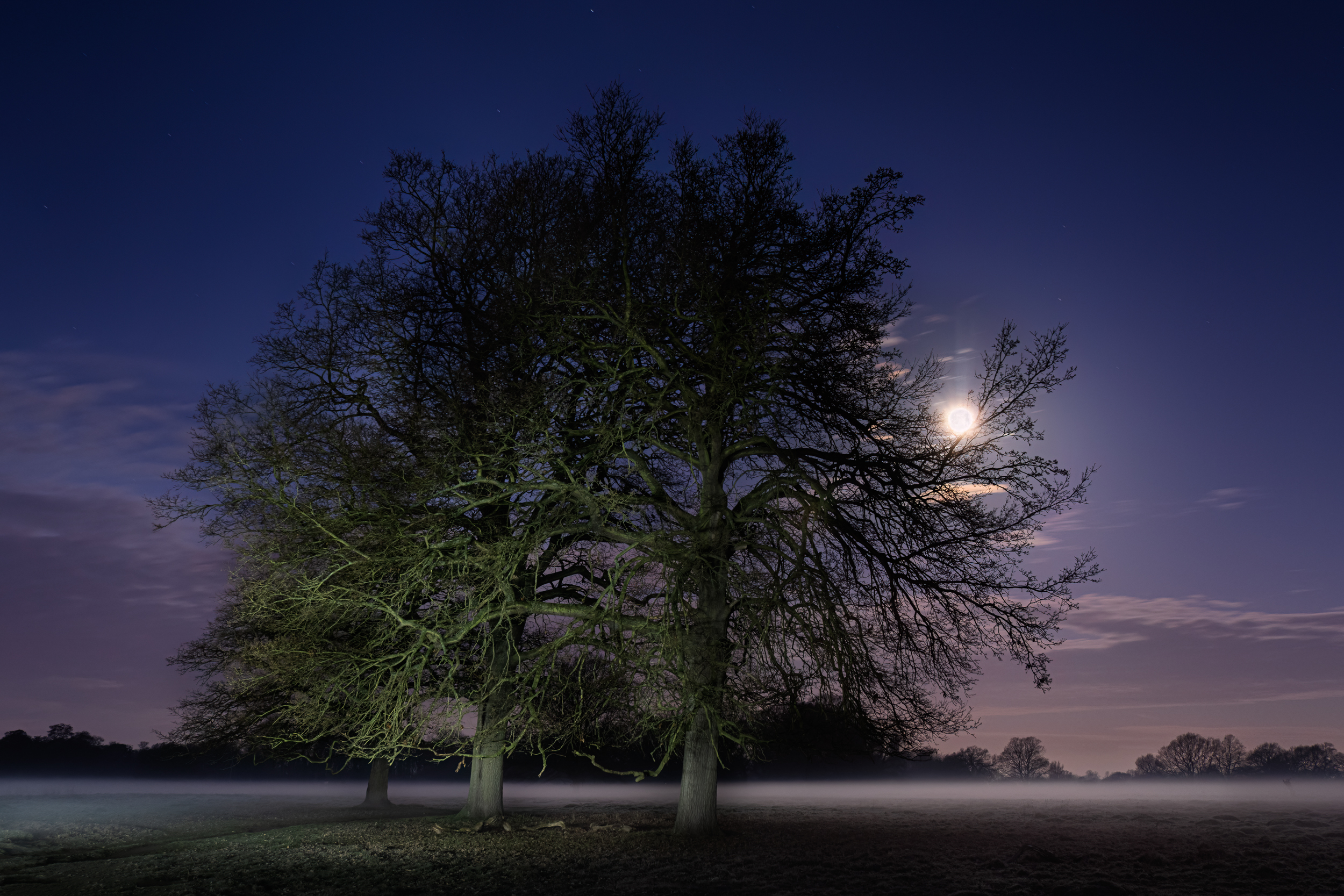 Along The Twilight Paths