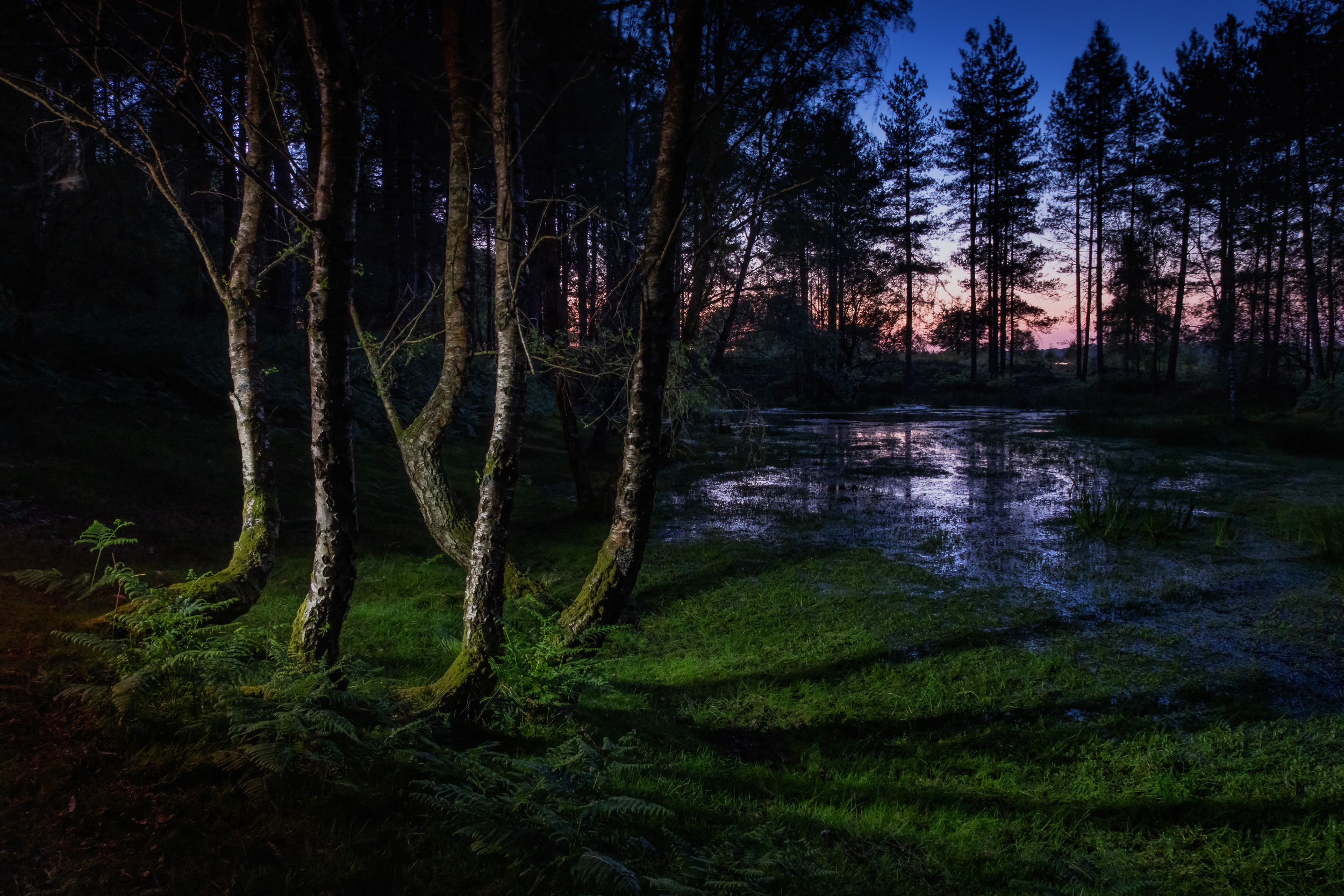 Along The Twilight Paths