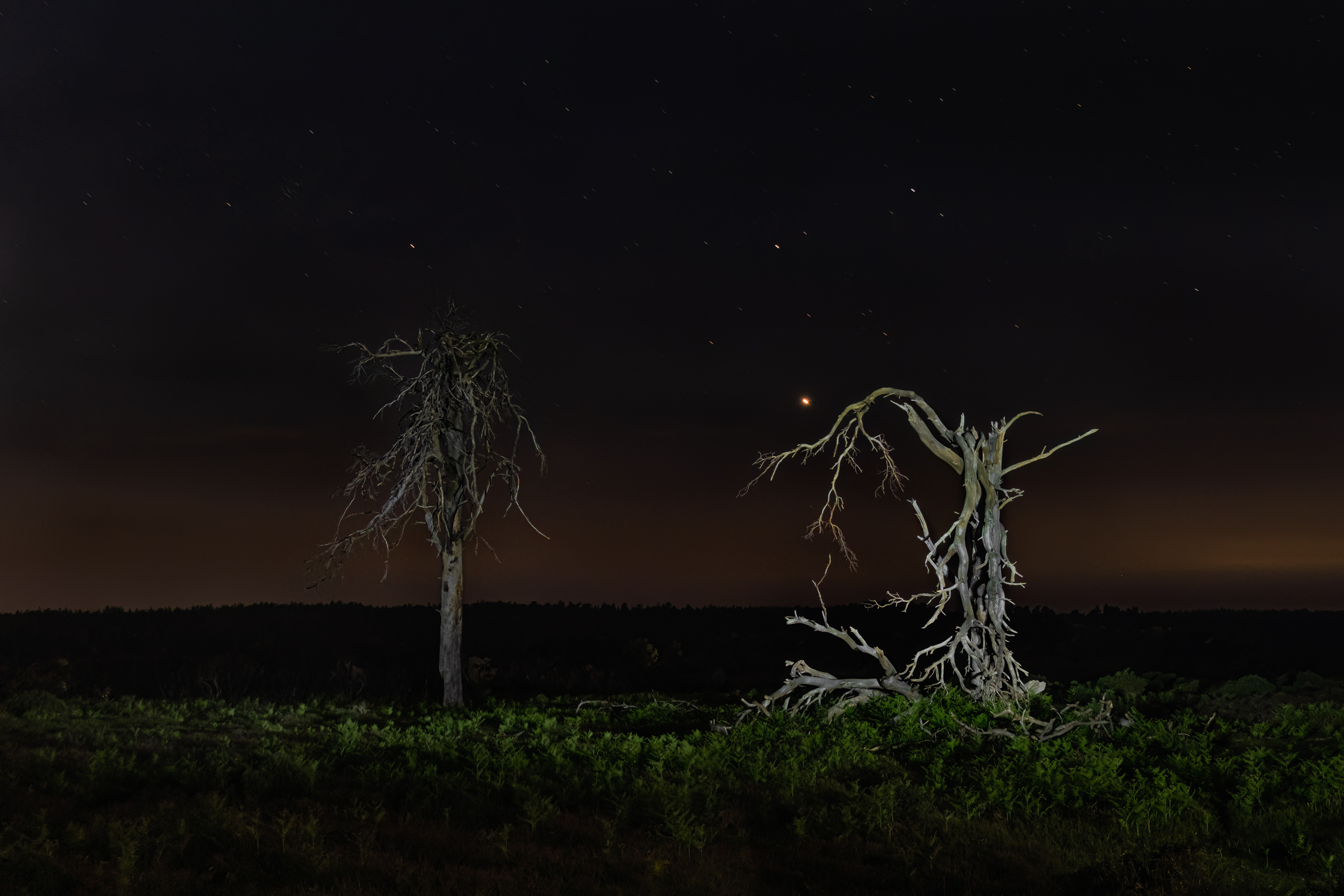 Along The Twilight Paths