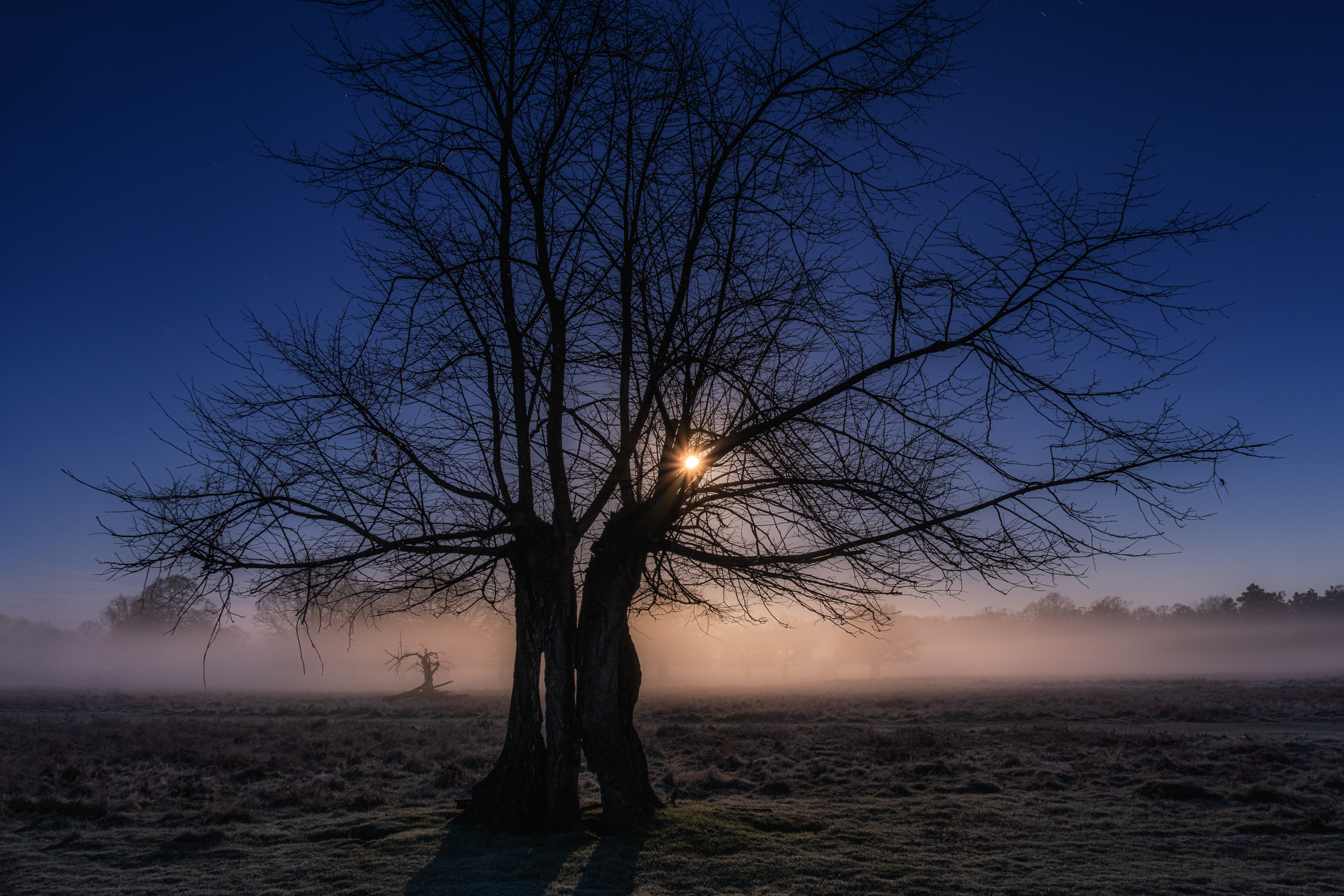 Along The Twilight Paths
