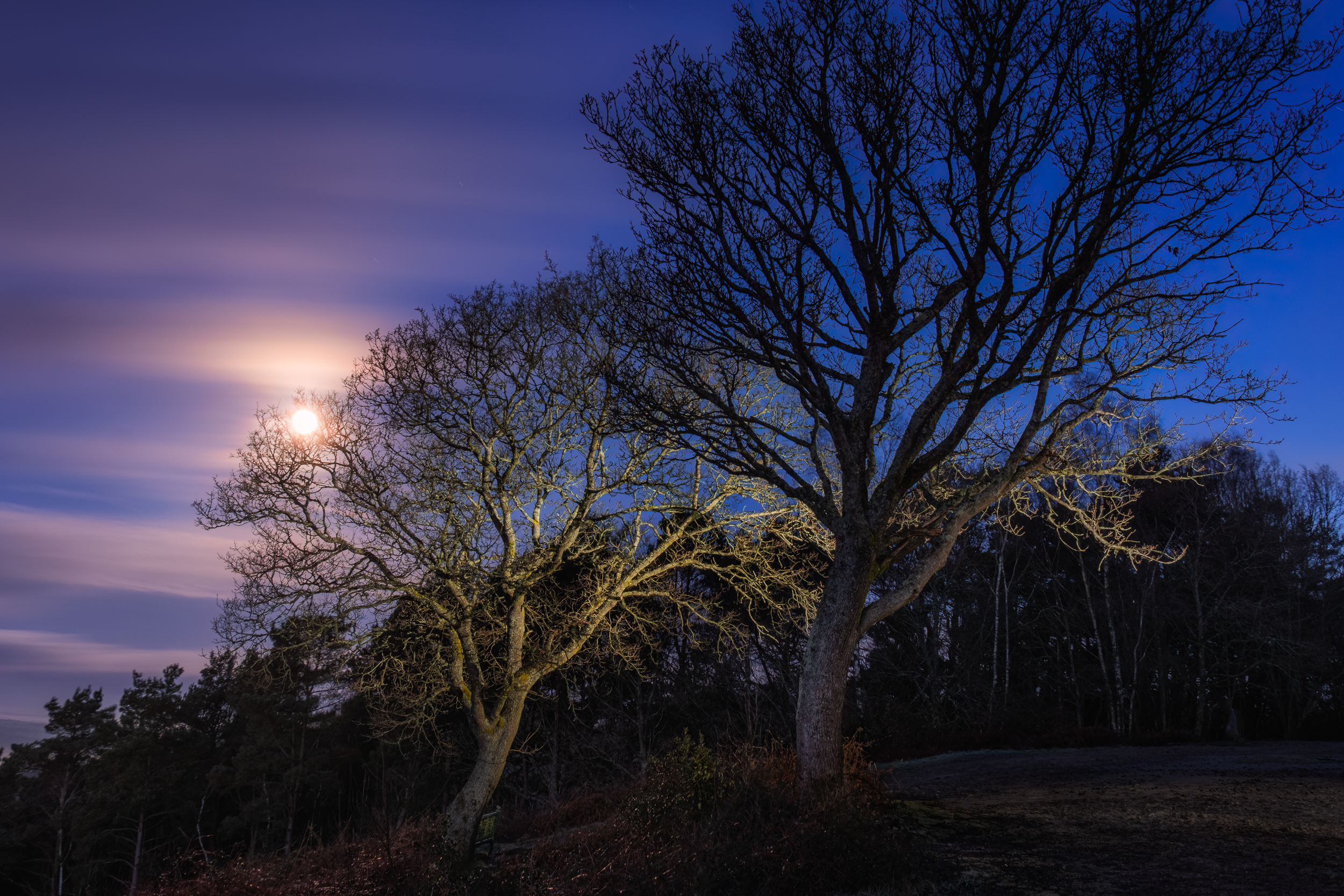 Along The Twilight Paths