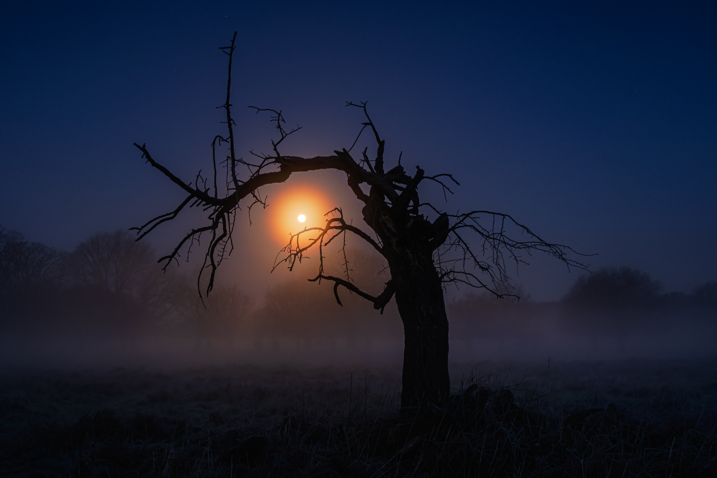 Along The Twilight Paths