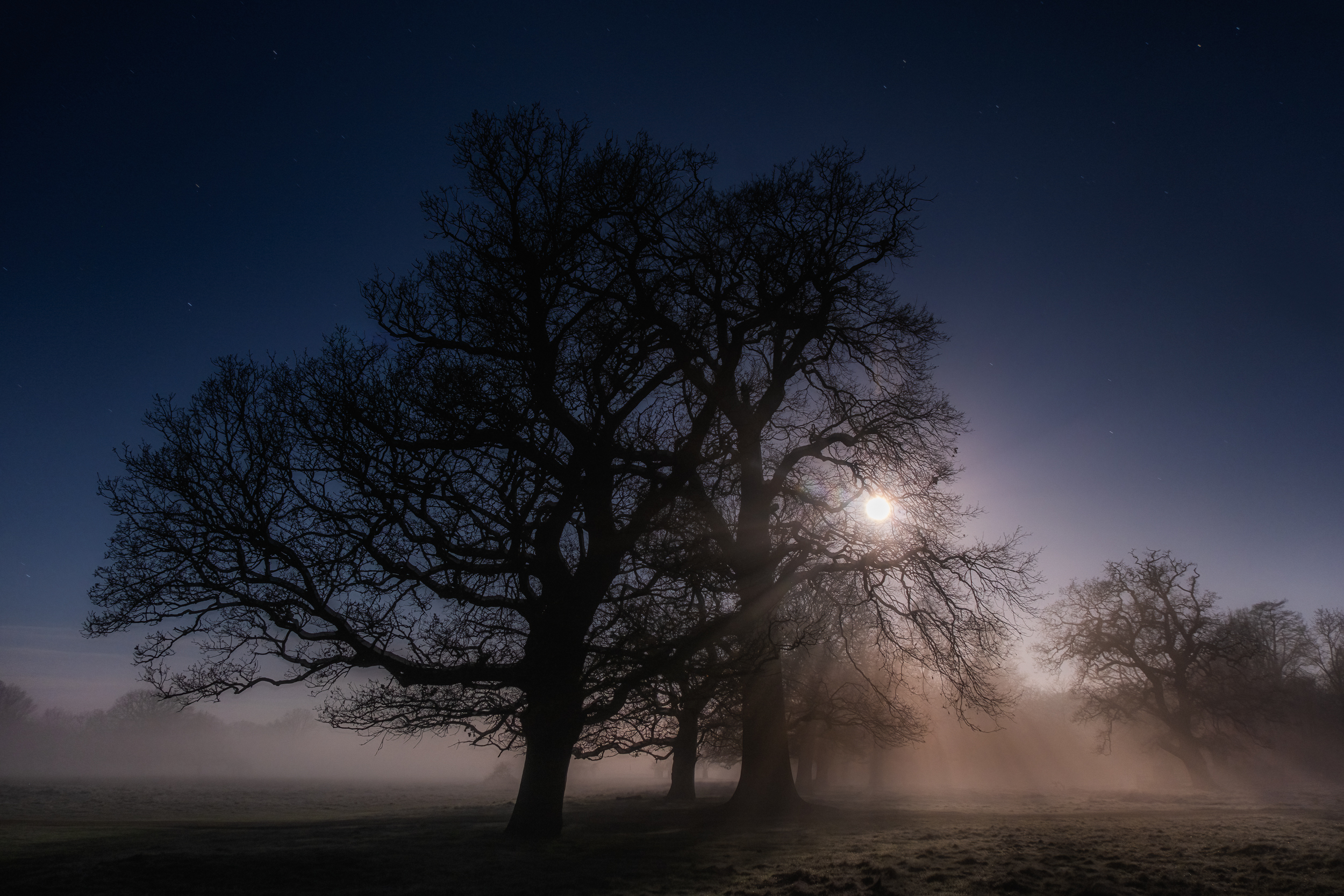 Along The Twilight Paths