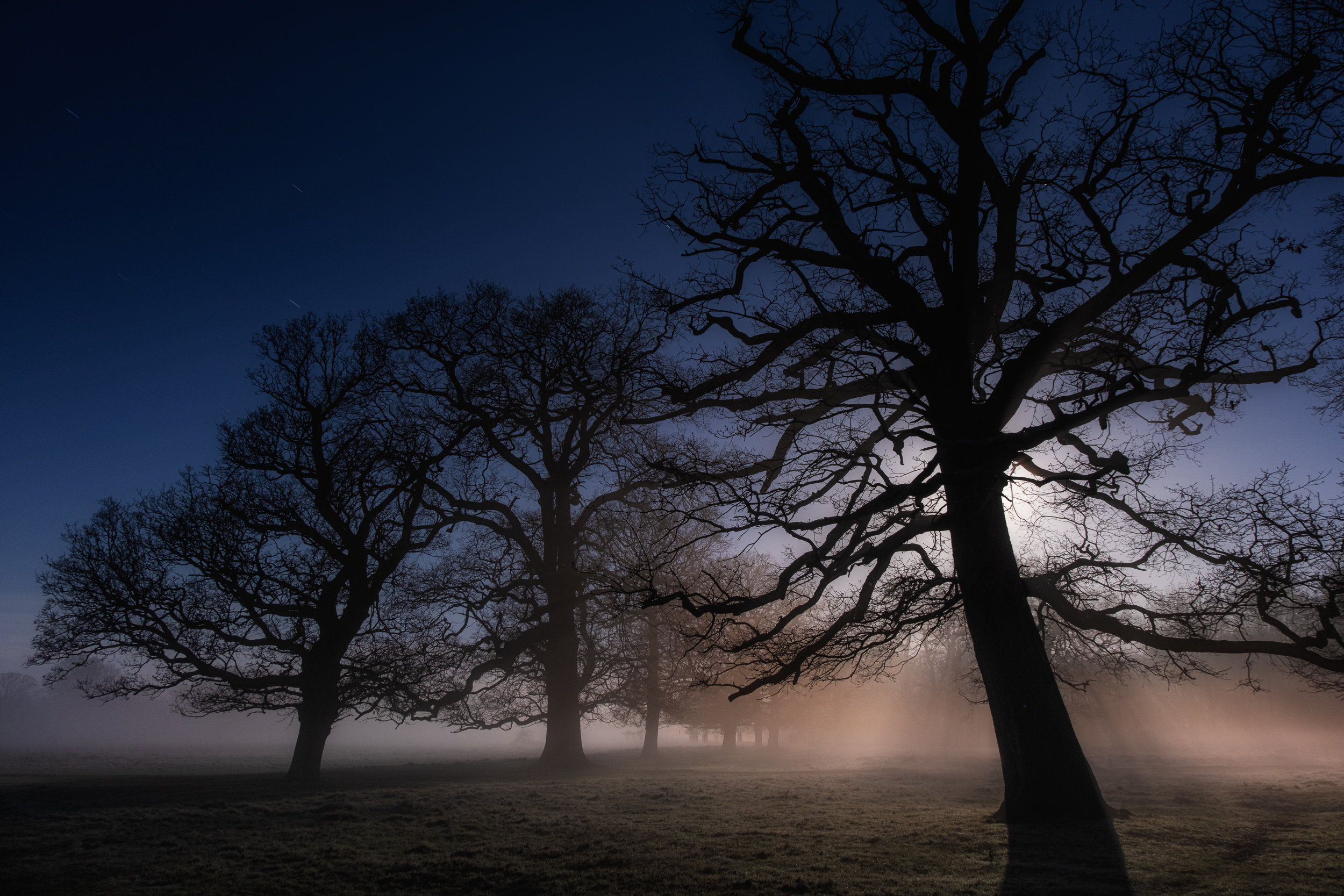 Along The Twilight Paths