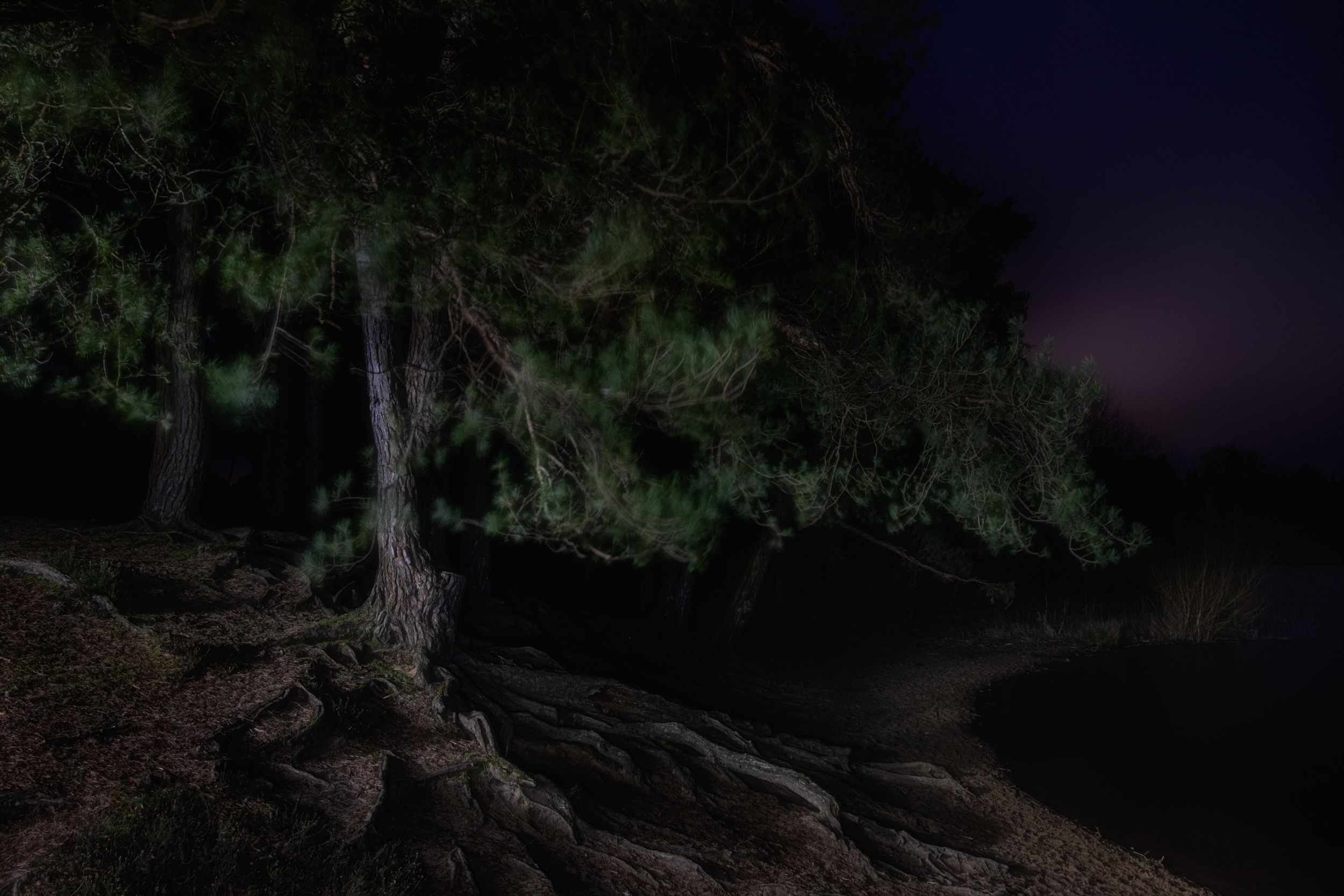 Along The Twilight Paths