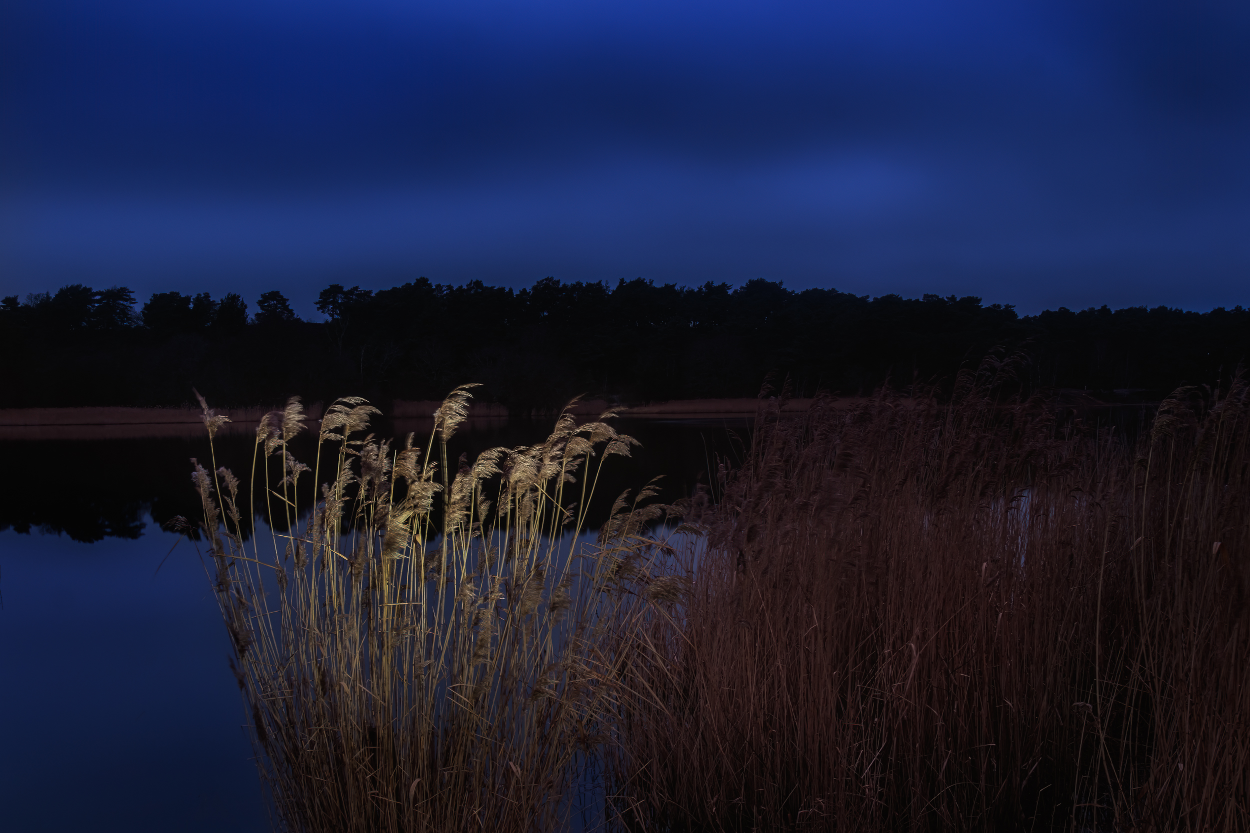 Along The Twilight Paths