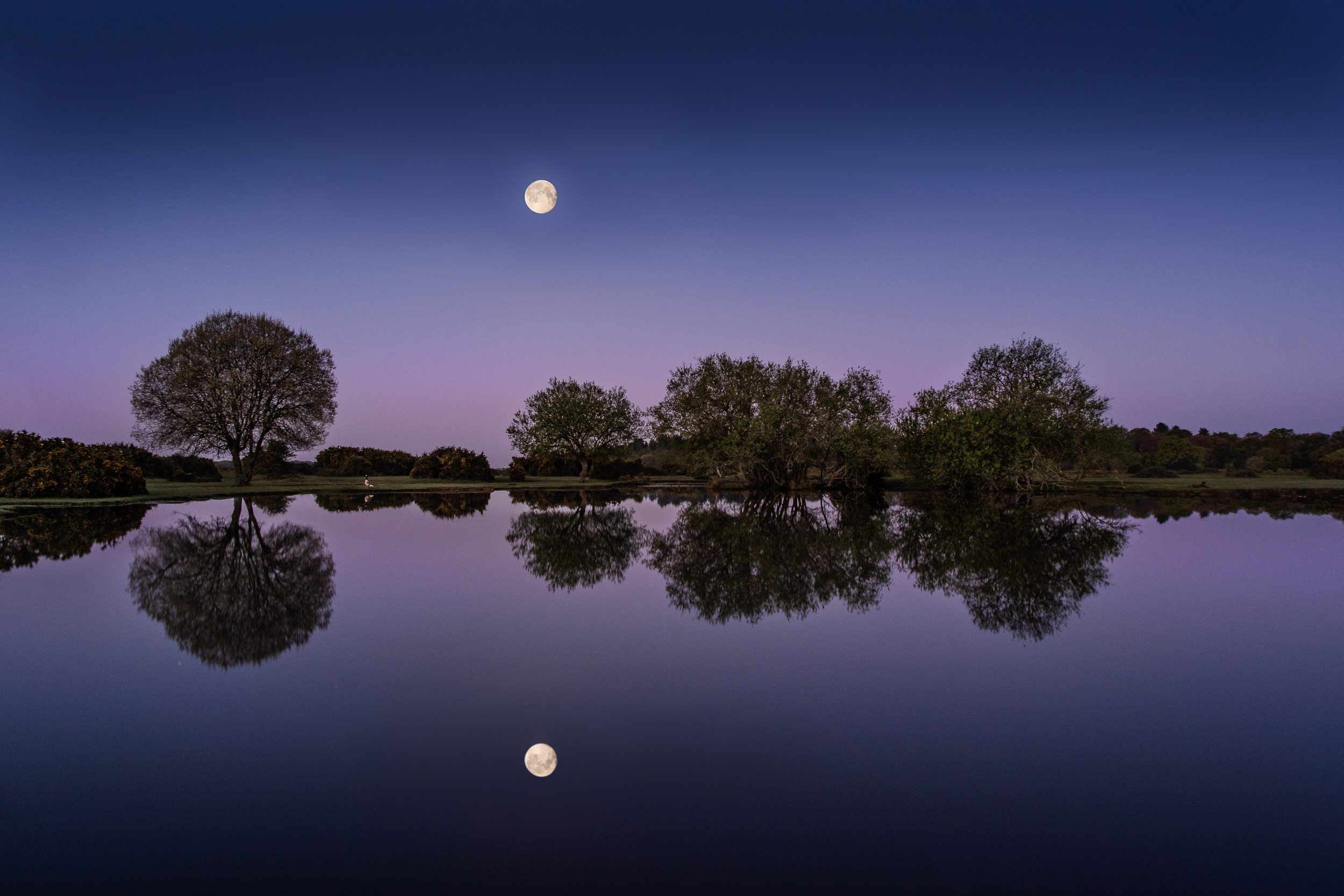 Along The Twilight Paths